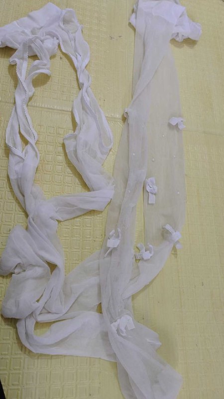 Photo gallery from 20251024, image 2