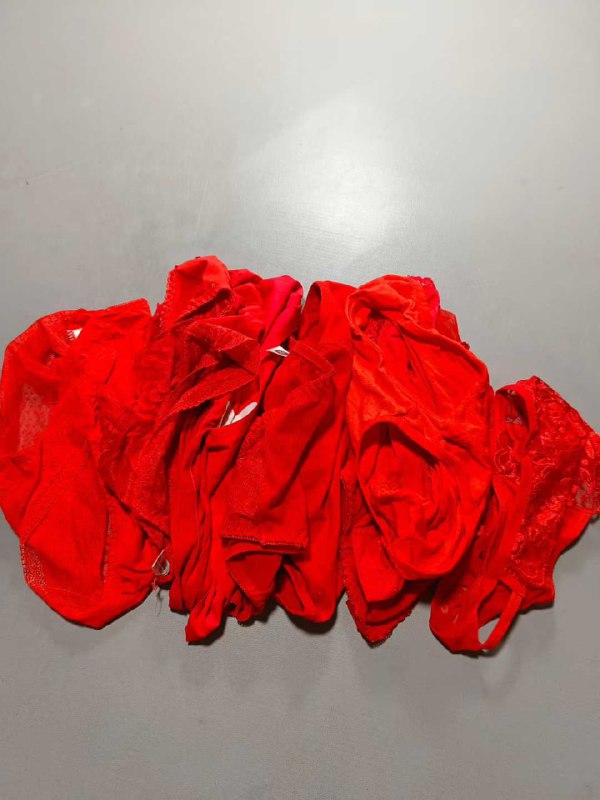 Photo gallery from 20250912, image 9