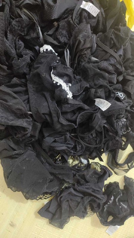 Photo gallery from 20250820, image 3