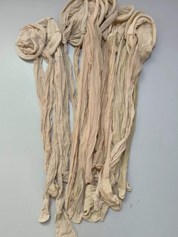 Photo gallery from 20240627, image 7