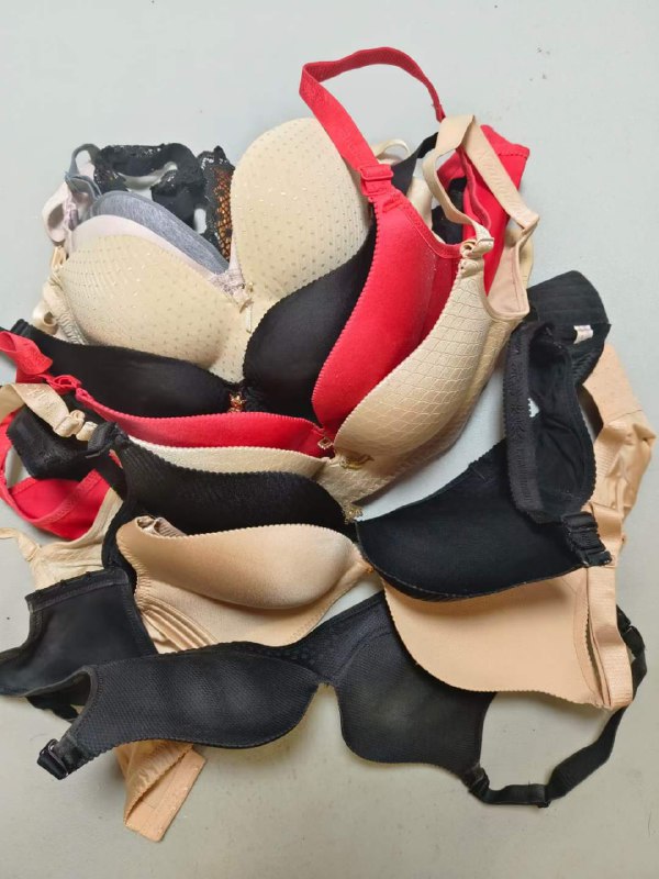 Photo gallery from 20231212, image 2