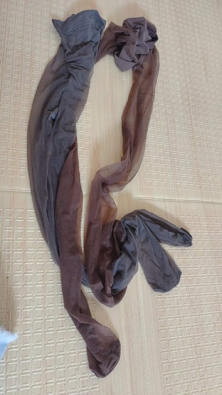 Photo gallery from 20230711, image 12