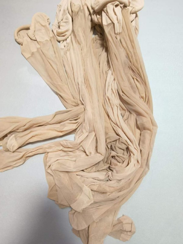 Photo gallery from 20230801, image 9