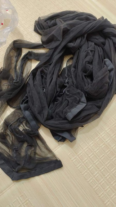 Photo gallery from 20240625, image 1