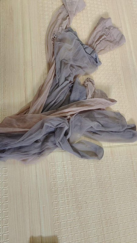 Photo gallery from 20230915, image 12