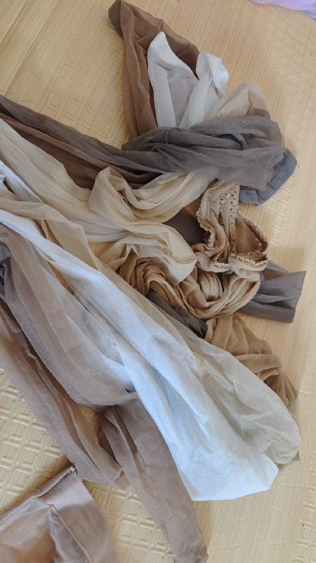 Photo gallery from 20230820, image 5