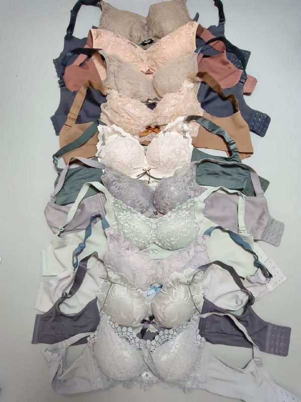 Photo gallery from 20230808, image 12