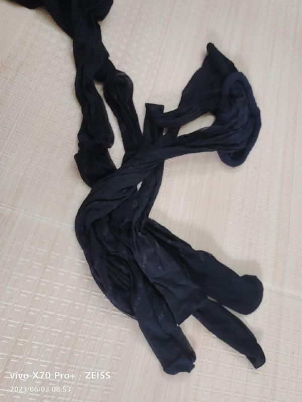 Photo gallery from 20230603, image 11