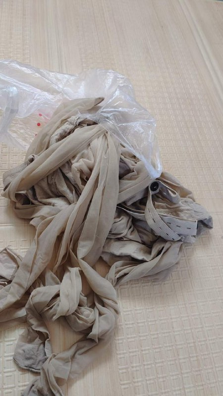 Photo gallery from 20231119, image 3