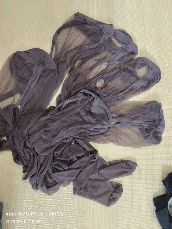 Photo gallery from 20230611, image 6