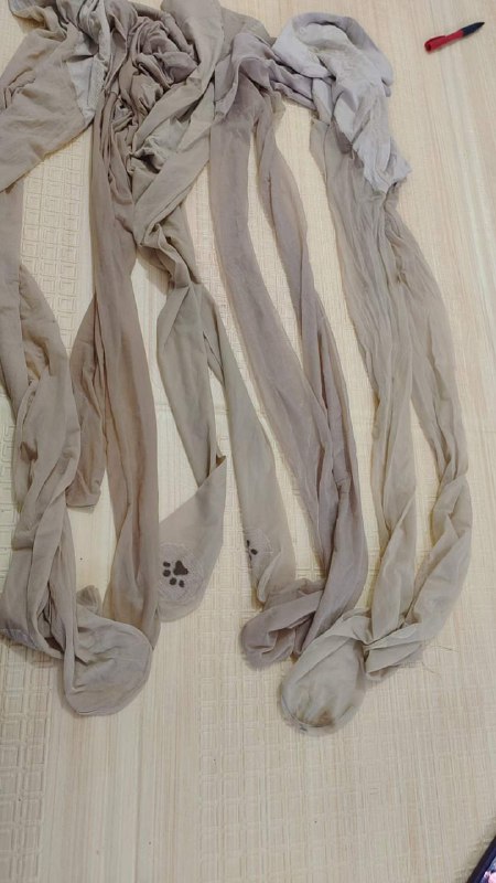 Photo gallery from 20240515, image 3