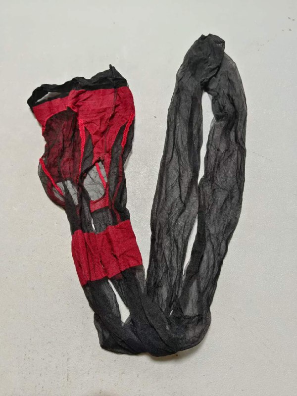 Photo gallery from 20231205, image 3