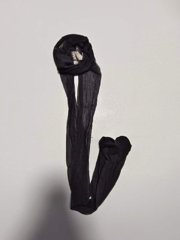 Photo gallery from 20230812, image 10