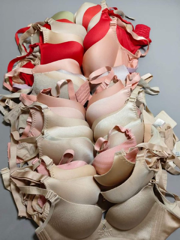 Photo gallery from 20240513, image 1