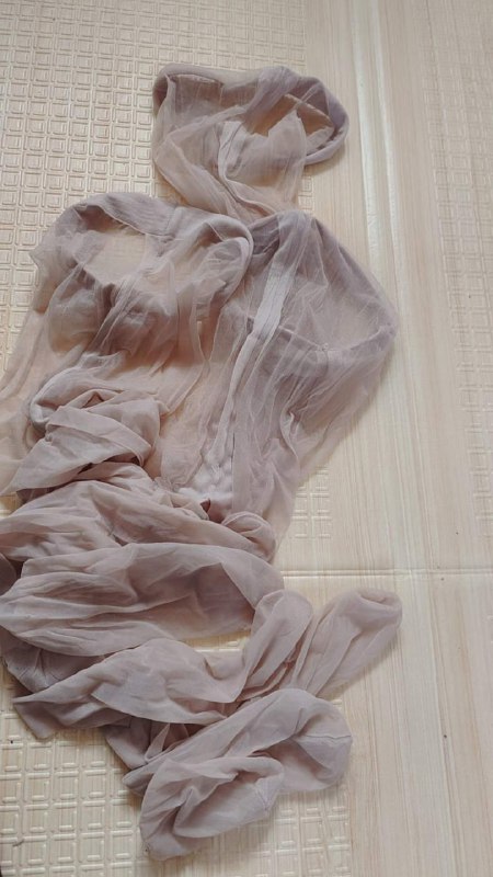 Photo gallery from 20231115, image 12