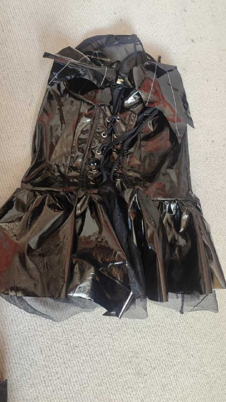 Photo gallery from 20250820, image 9