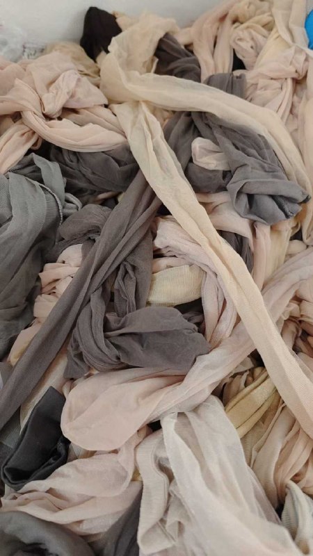 Photo gallery from 20250808, image 3