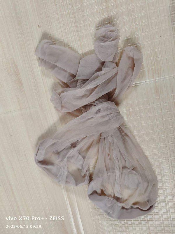 Photo gallery from 20230613, image 11