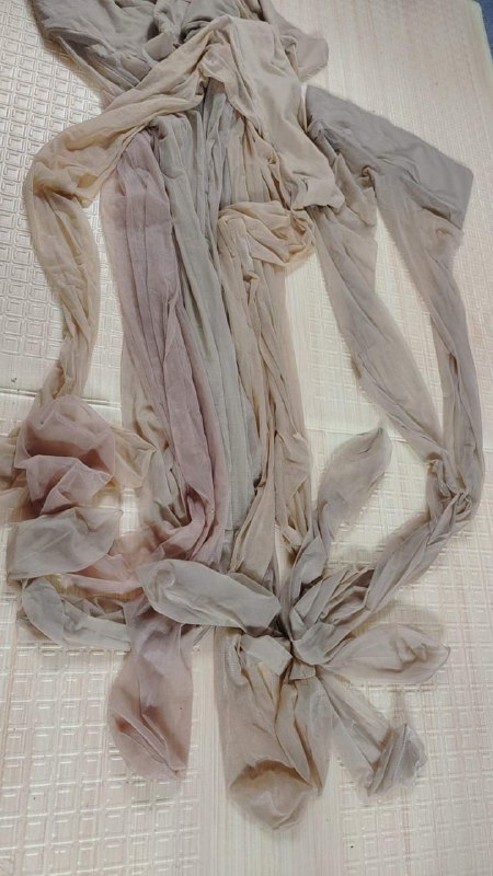 Photo gallery from 20230804, image 1