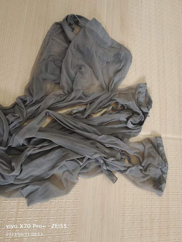 Photo gallery from 20230611, image 7