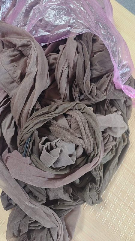 Photo gallery from 20230730, image 12