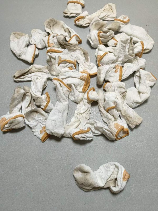 Photo gallery from 20231031, image 11