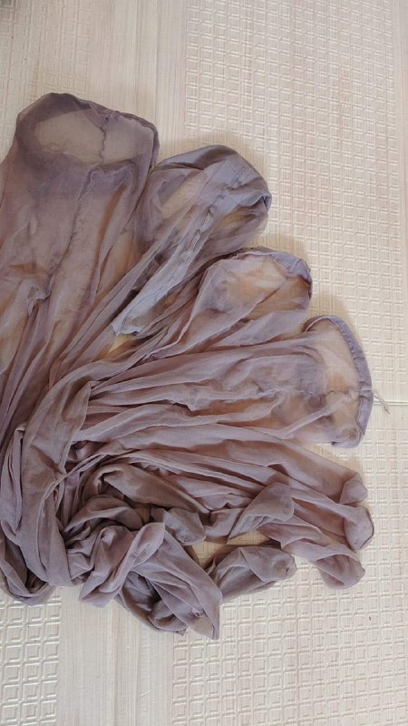 Photo gallery from 20230704, image 6