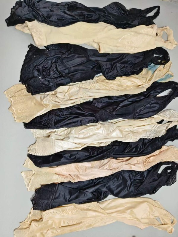 Photo gallery from 20231010, image 1