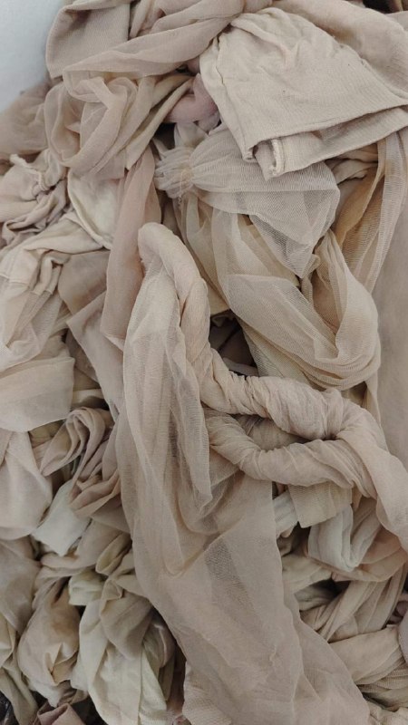 Photo gallery from 20231009, image 4