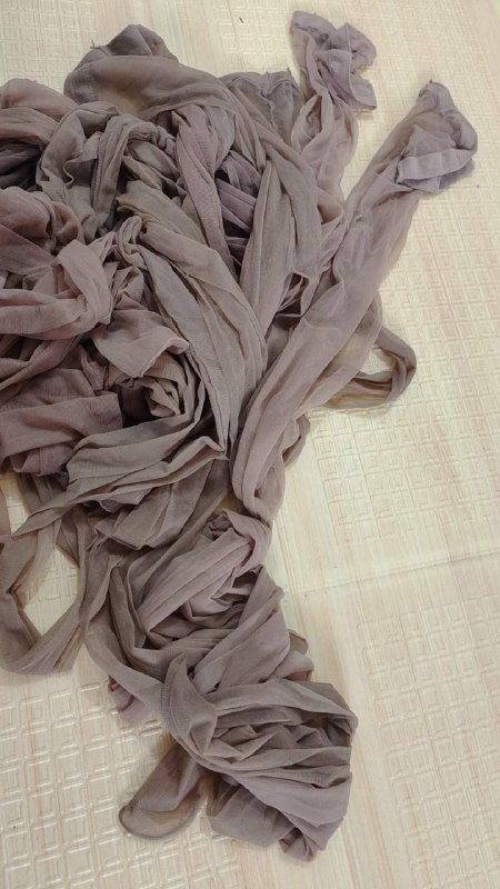 Photo gallery from 20240501, image 2