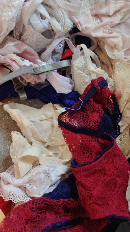 Photo gallery from 20250929, image 11