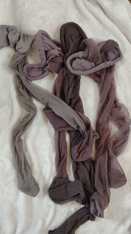 Photo gallery from 20231124, image 4