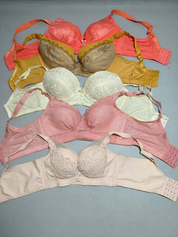 Photo gallery from 20230923, image 11