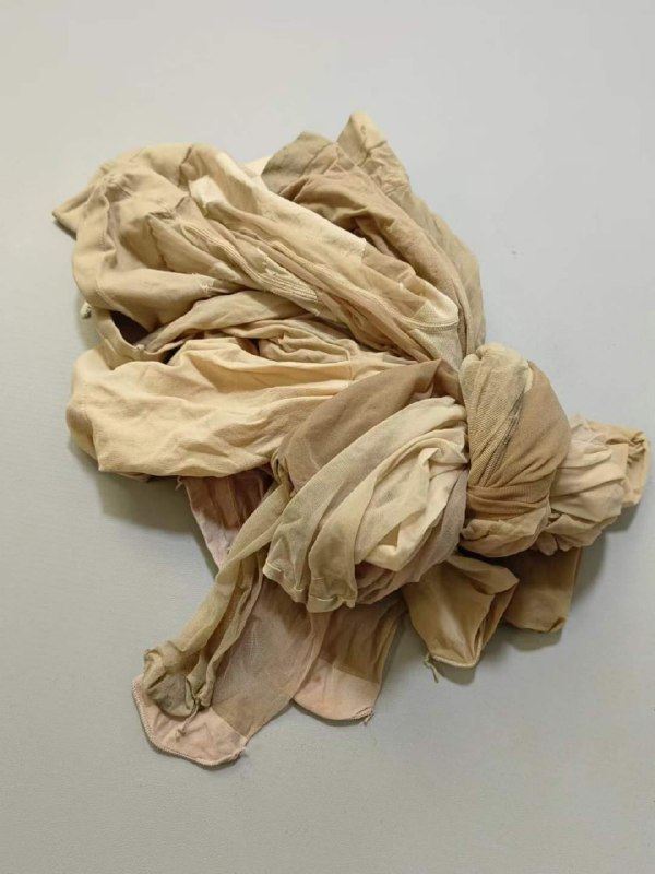 Photo gallery from 20240312, image 8