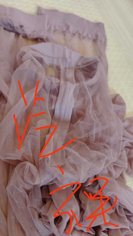 Photo gallery from 20250908, image 8