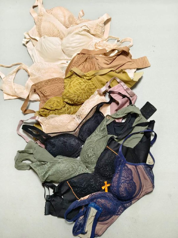 Photo gallery from 20231201, image 10