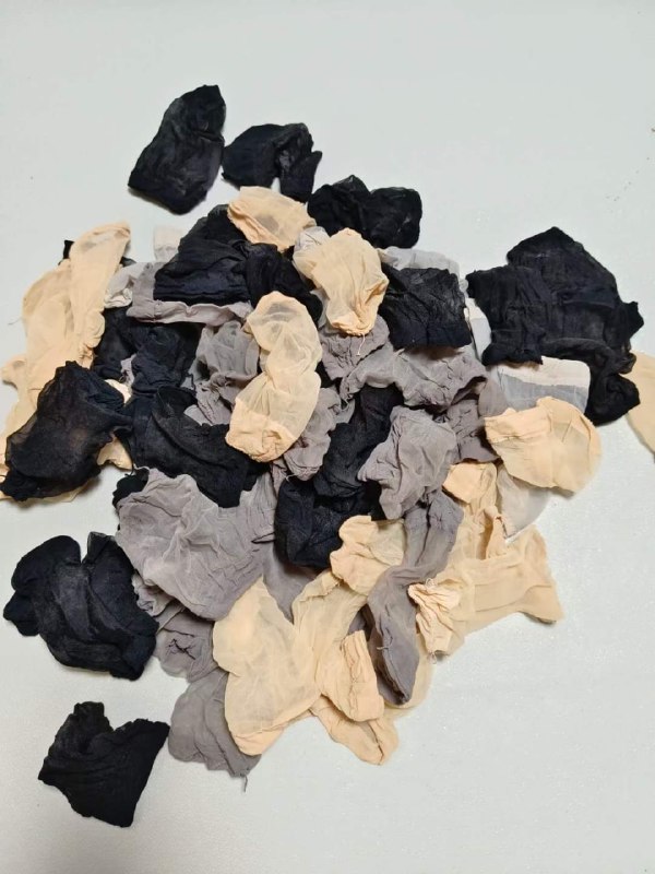 Photo gallery from 20230923, image 1