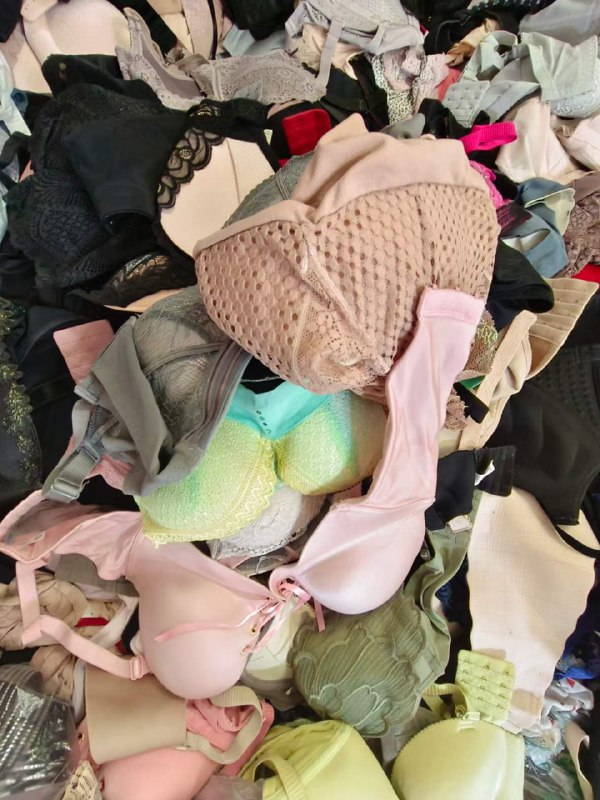 Photo gallery from 20240624, image 11