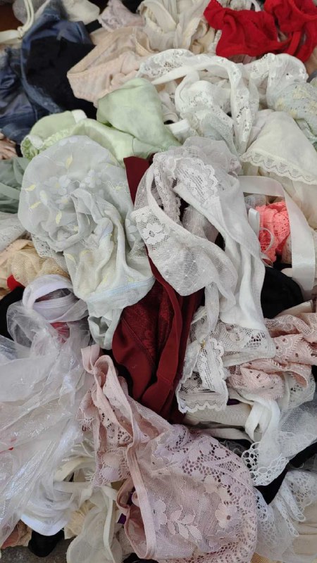 Photo gallery from 20251012, image 7