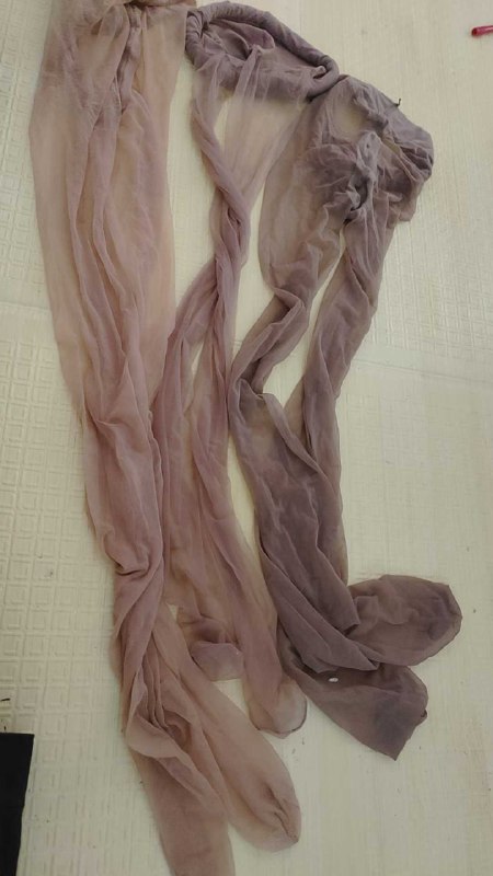 Photo gallery from 20250824, image 6