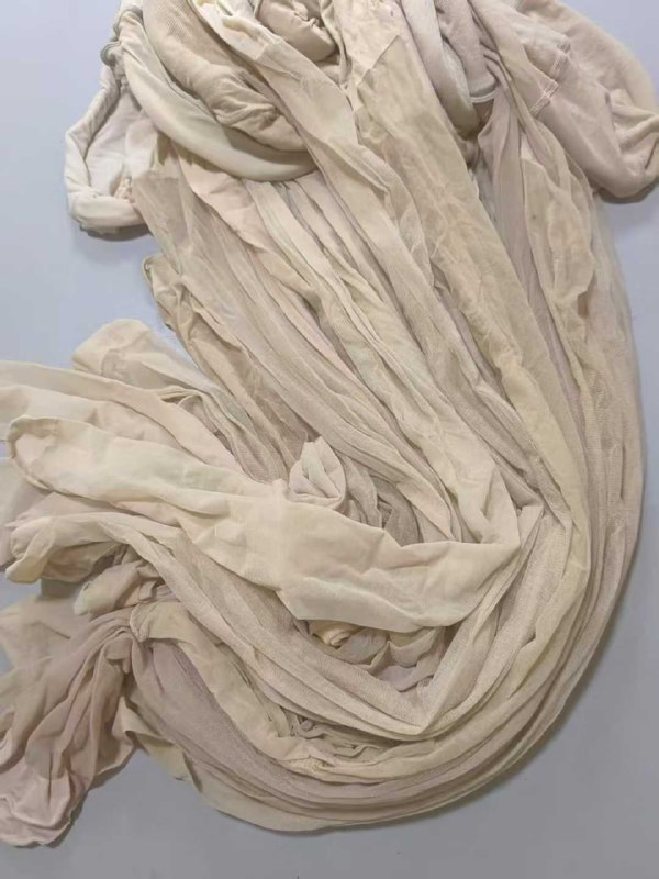 Photo gallery from 20250818, image 4