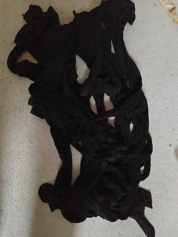 Photo gallery from 20260122, image 12