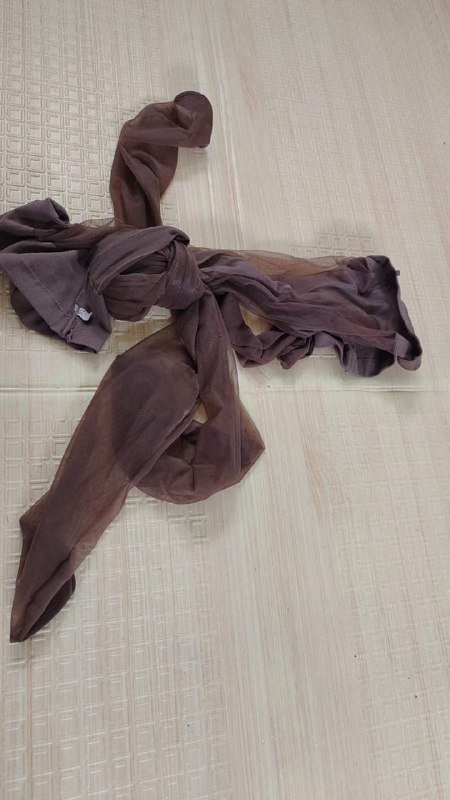 Photo gallery from 20231007, image 8