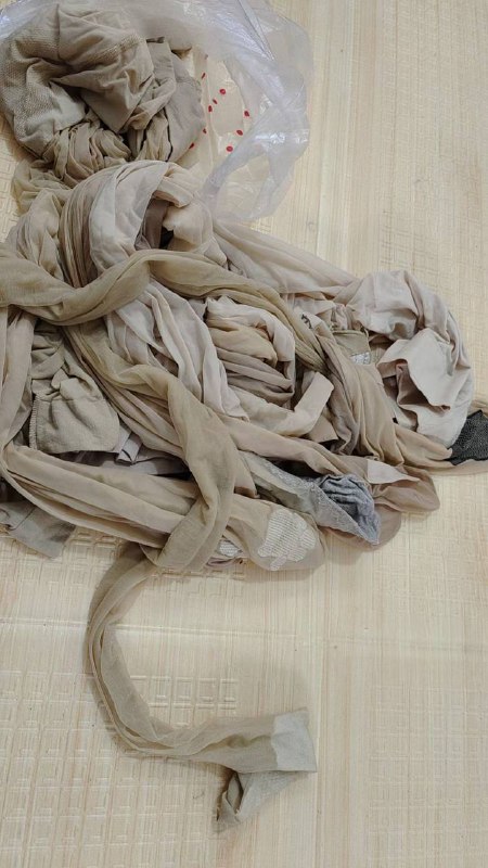 Photo gallery from 20240412, image 1