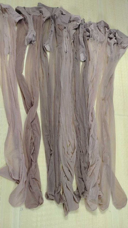 Photo gallery from 20250726, image 10