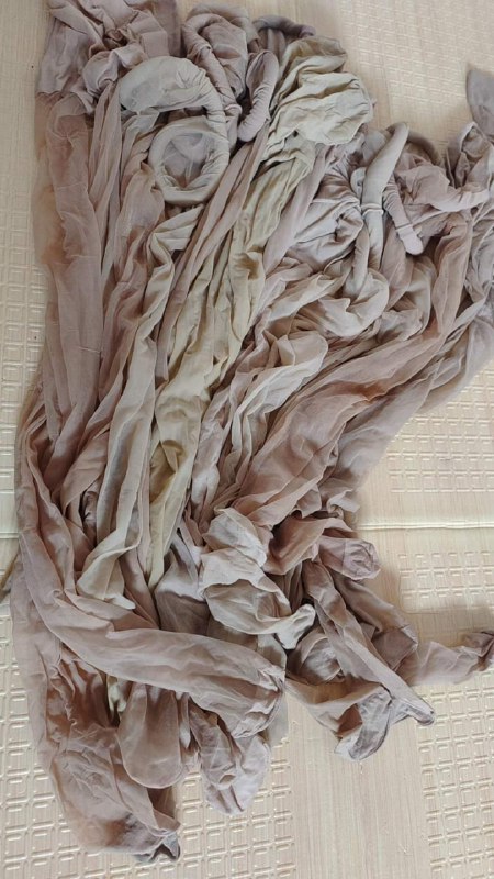 Photo gallery from 20230920, image 6