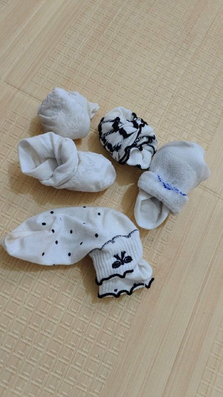 Photo gallery from 20240425, image 5