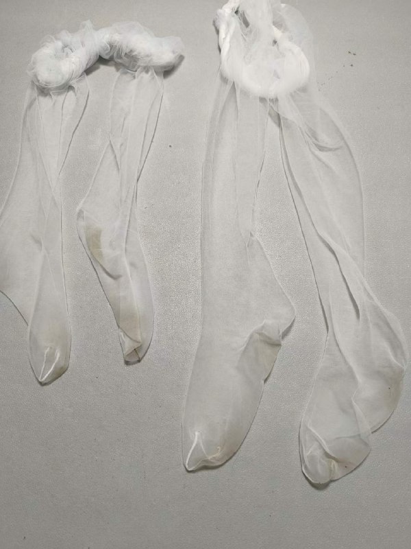 Photo gallery from 20231102, image 3