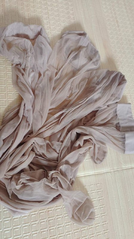 Photo gallery from 20230811, image 10