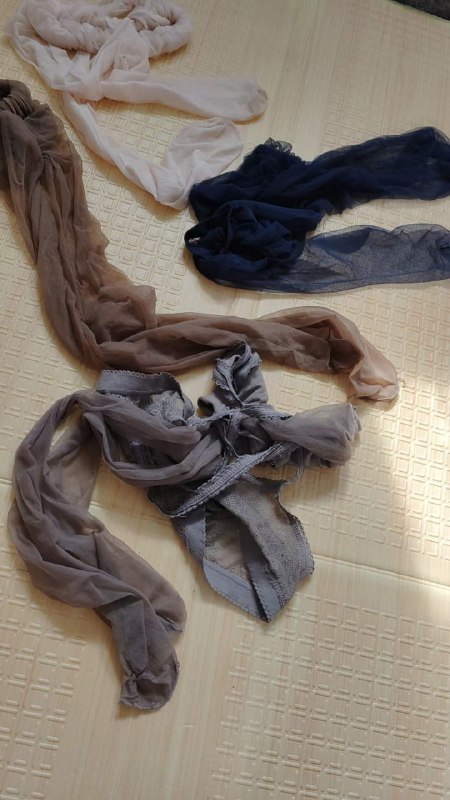 Photo gallery from 20230701, image 12